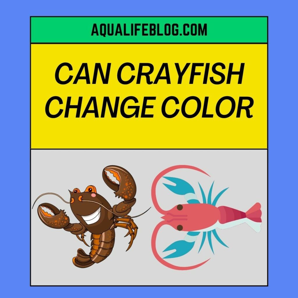 Can Crayfish Change Color