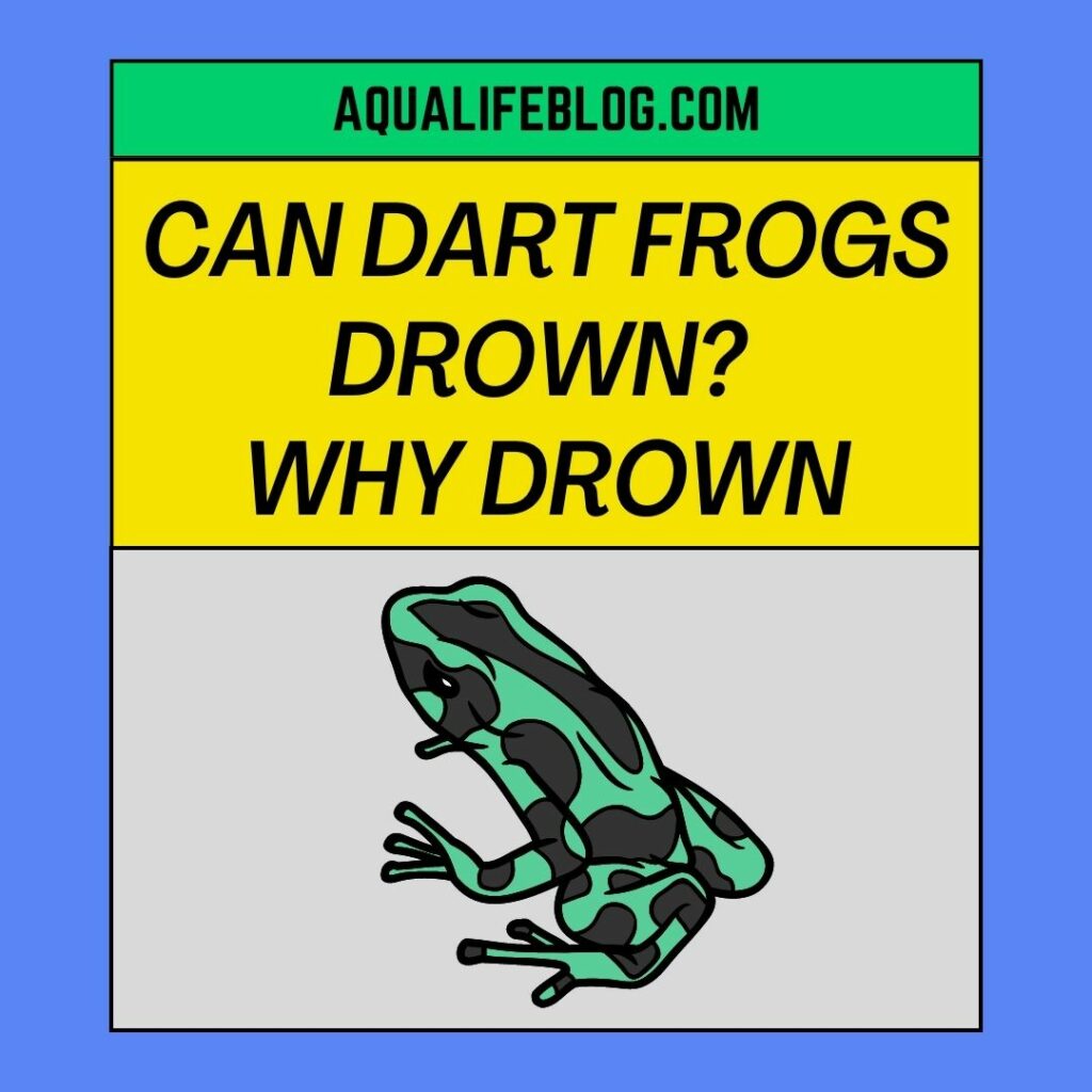 Can Dart Frogs Drown (why they may drown)