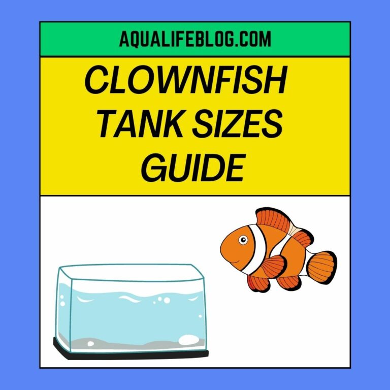 Clownfish Tank Sizes ( tank size for 2 clownfish)