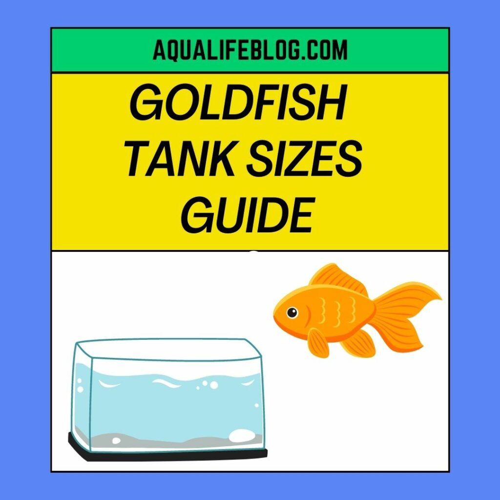 Goldfish Tank Sizes