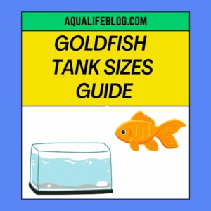 Goldfish Tank Sizes
