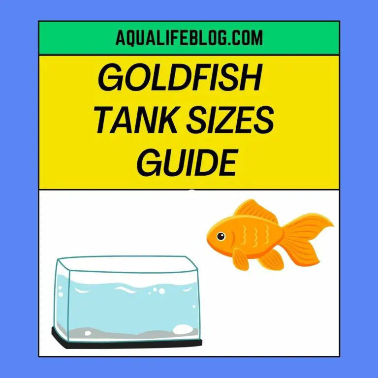 Tank Sizes For Goldfish: Goldfish Tank Size Guide