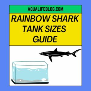 Rainbow SharksTank Sizes