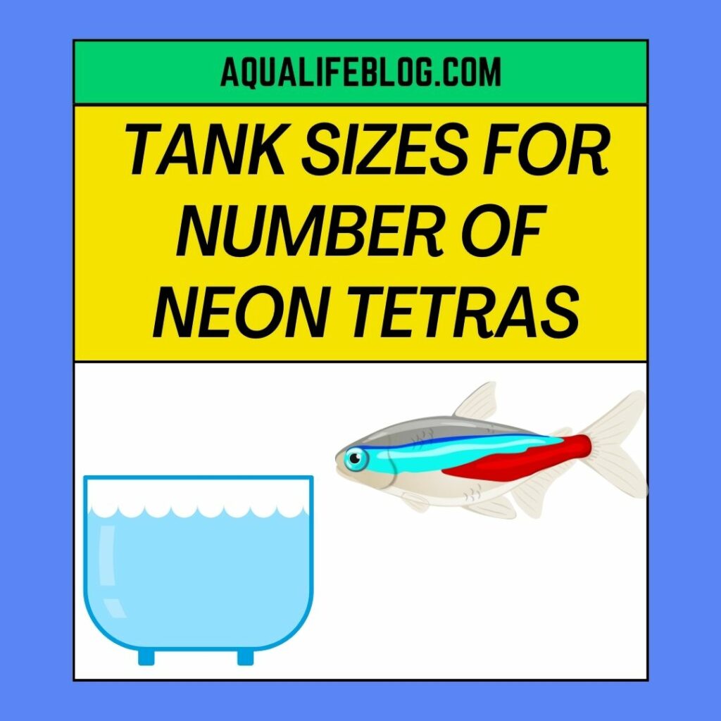 Tank Sizes For Different Number Of Neon Tetras