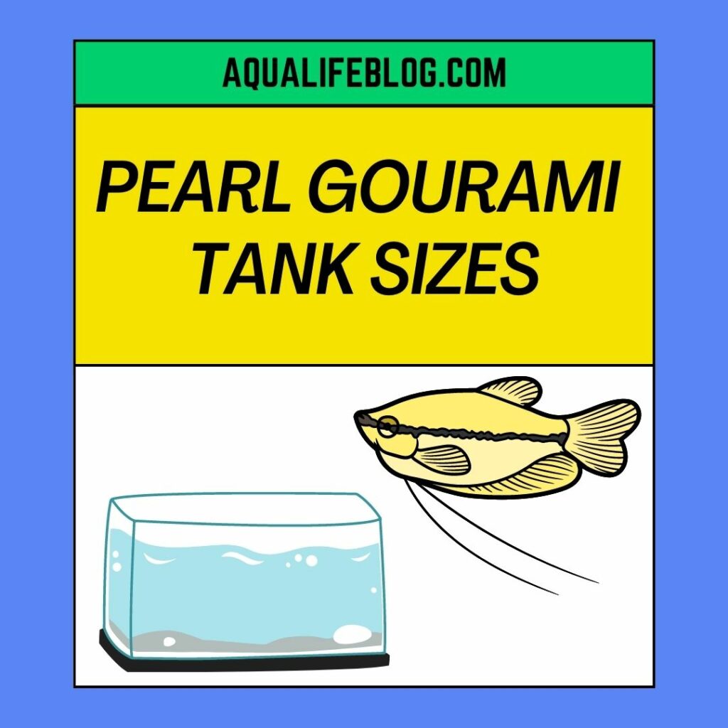 Tank Sizes For Different Numbers Of Pearl Gourami