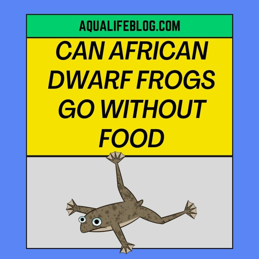 How Long Can African Dwarf Frogs Go Without Food