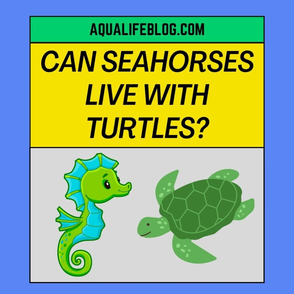 Can Seahorses Live With Turtles