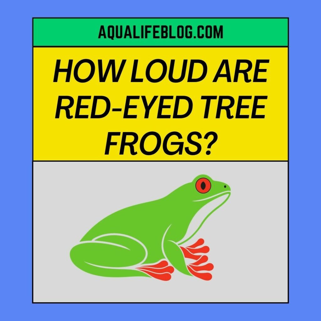 How loud are Red-Eyed Tree Frogs