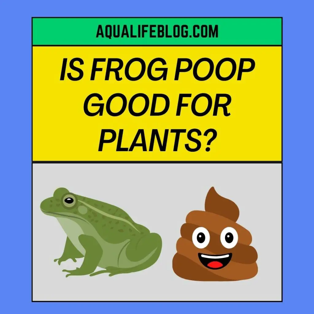 Is Frog Poop Good For Plants?