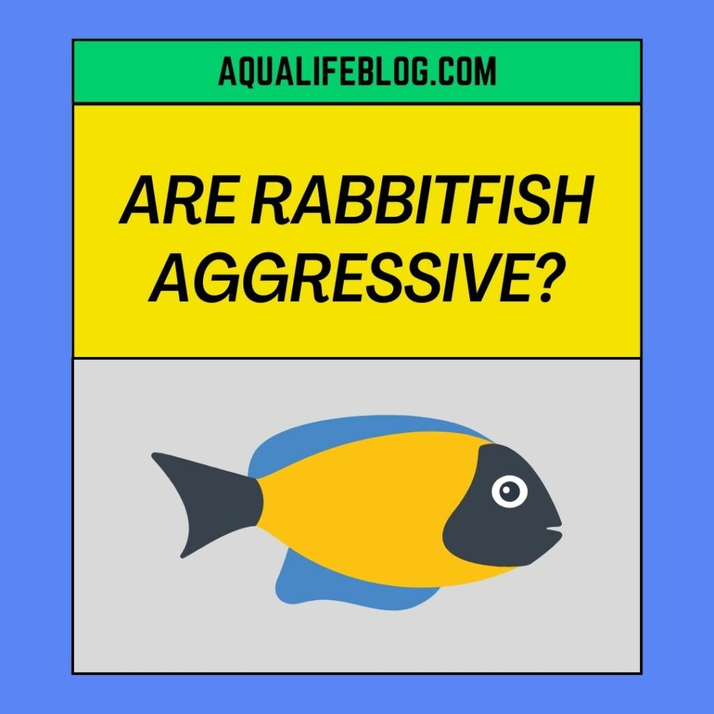 Are Rabbitfish Aggressive