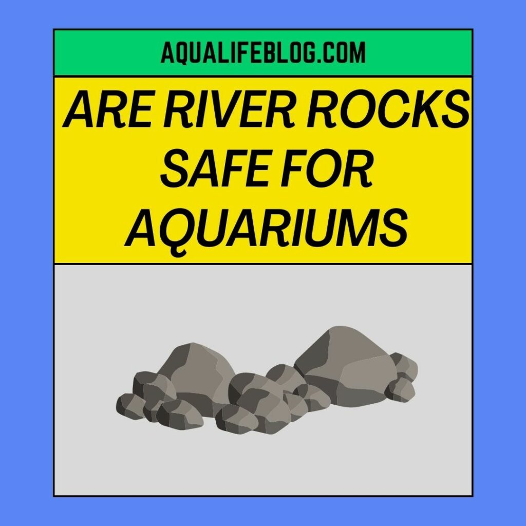 Are River Rocks Safe For Aquariums