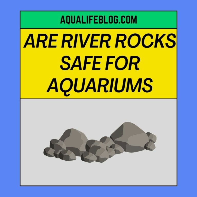 Are River Rocks Safe For Aquariums?