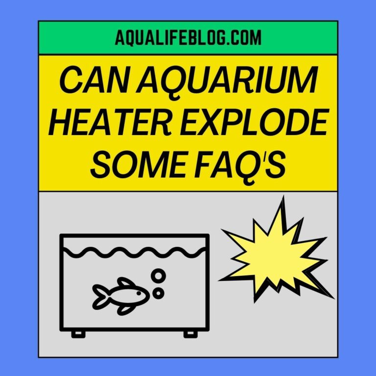 Can Aquarium Heater Explode? (some questions about the aquarium heater)