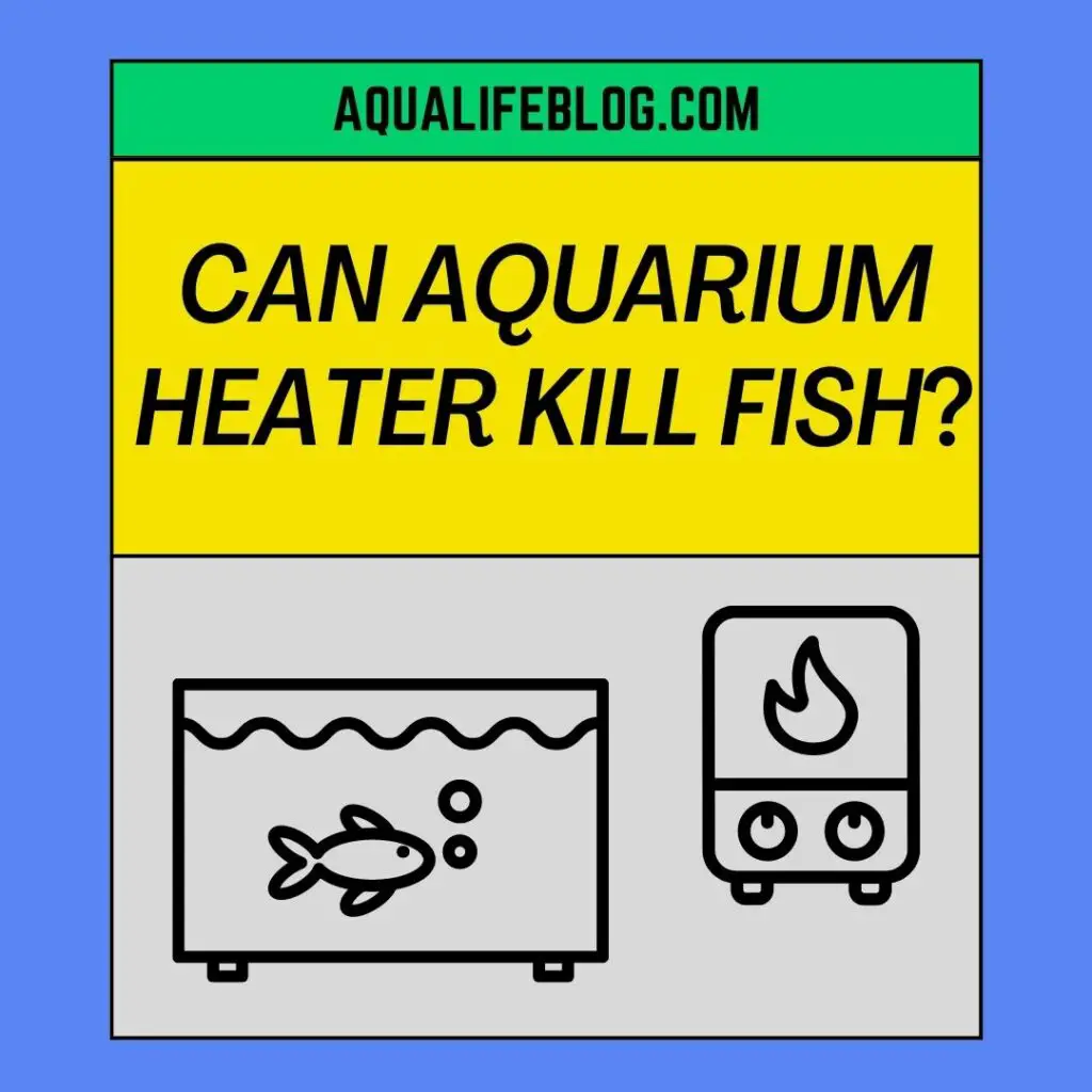 Can Aquarium Heater Kill Fish