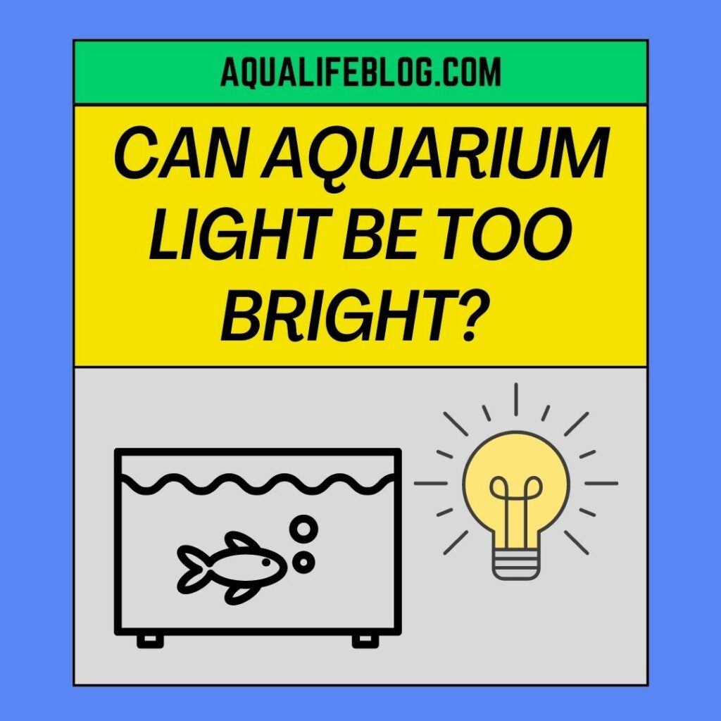 Can Aquarium Light Be Too Bright How much Bright is Safe
