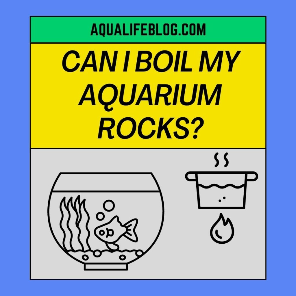 Can I Boil My Aquarium Rocks