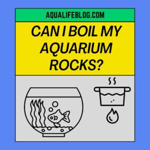 Can I Boil My Aquarium Rocks