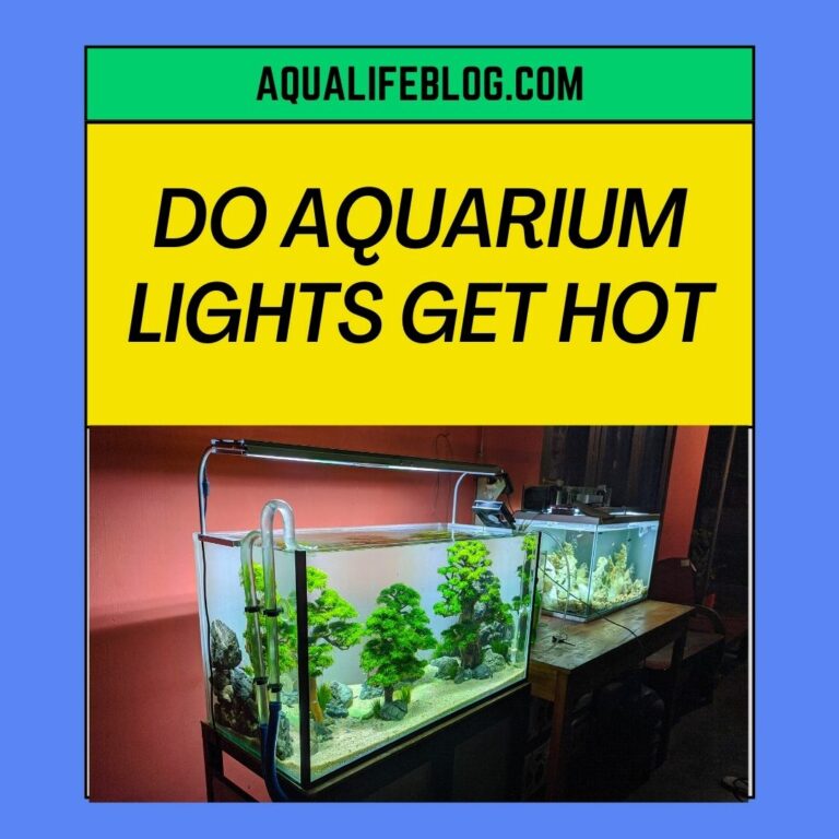Do Aquarium Lights Get Hot?