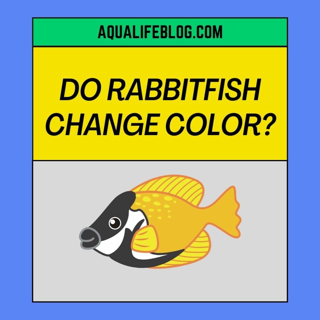 Rabbitfish Change Color