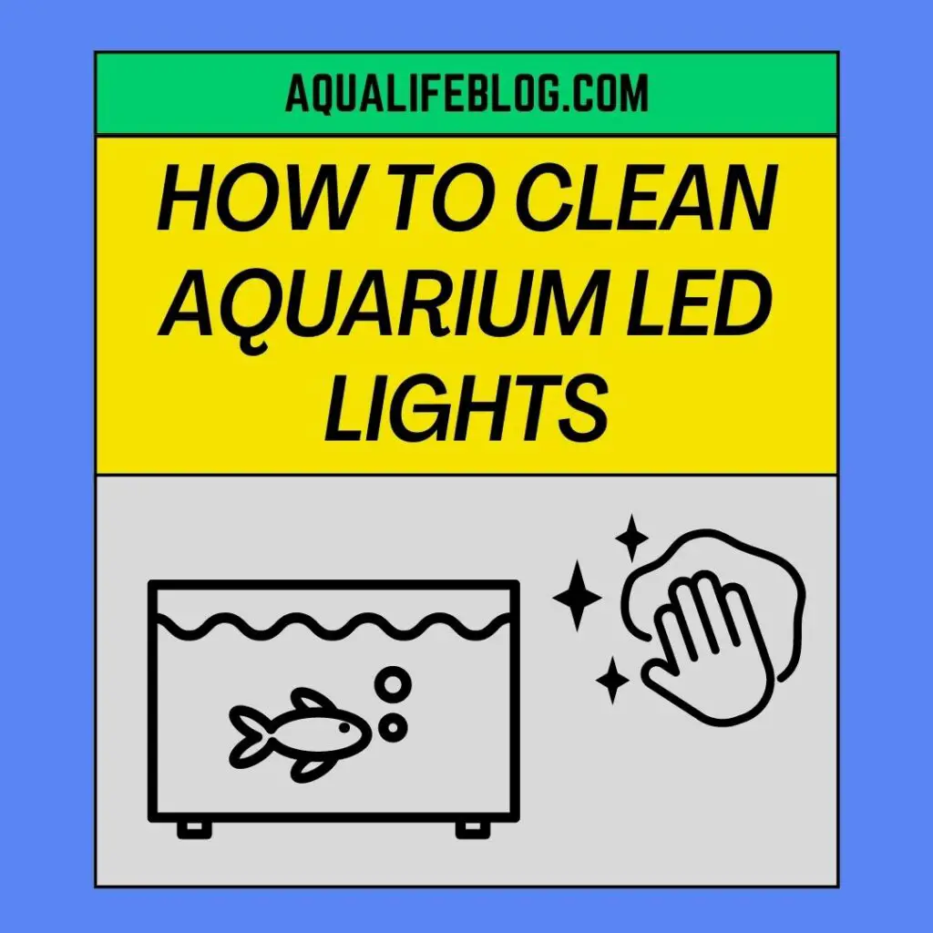 How To Clean Aquarium LED Lights