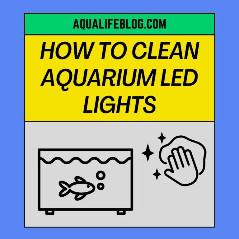How To Clean Aquarium LED Lights?