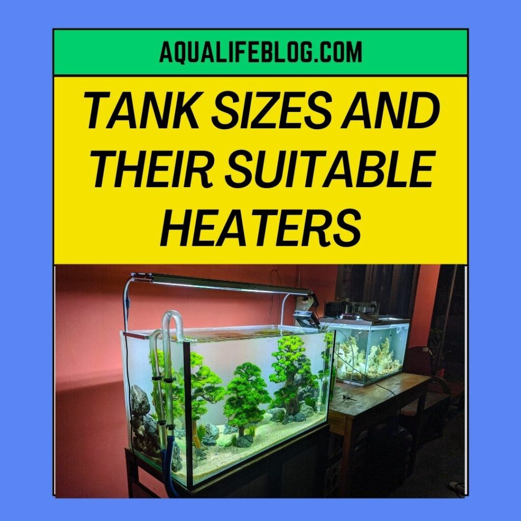 Tank Sizes And Their Suitable Heaters