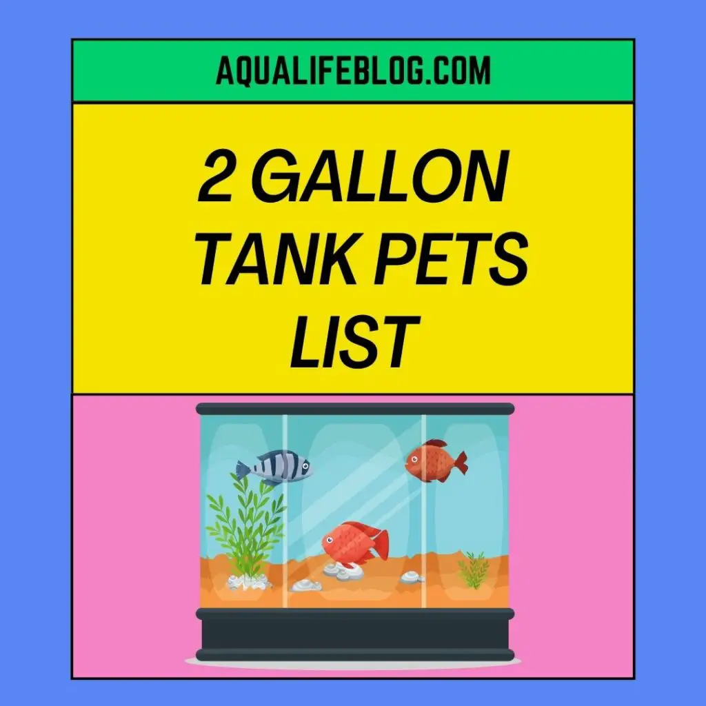 2 Gallon Tank Pets