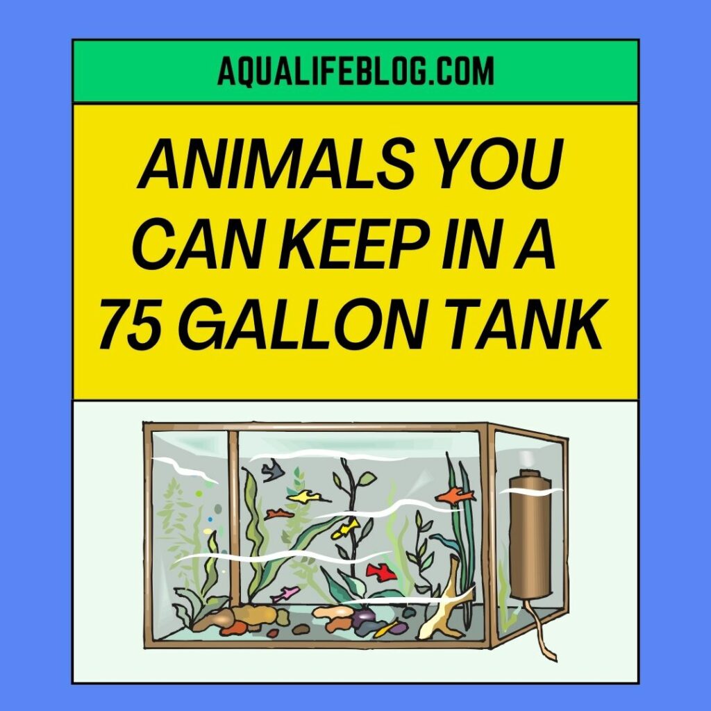 Animals You Can Keep In A 75 Gallon Tank
