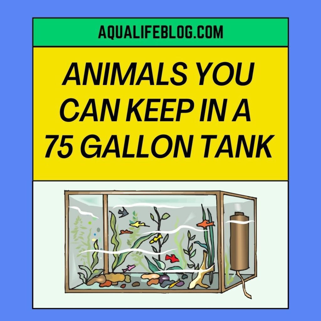 12-animals-you-can-keep-in-a-75-gallon-tank-aqualife