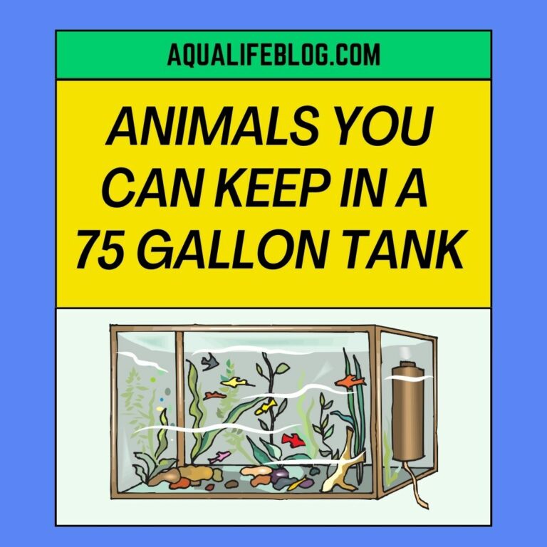 12 Animals You Can Keep In A 75 Gallon Tank