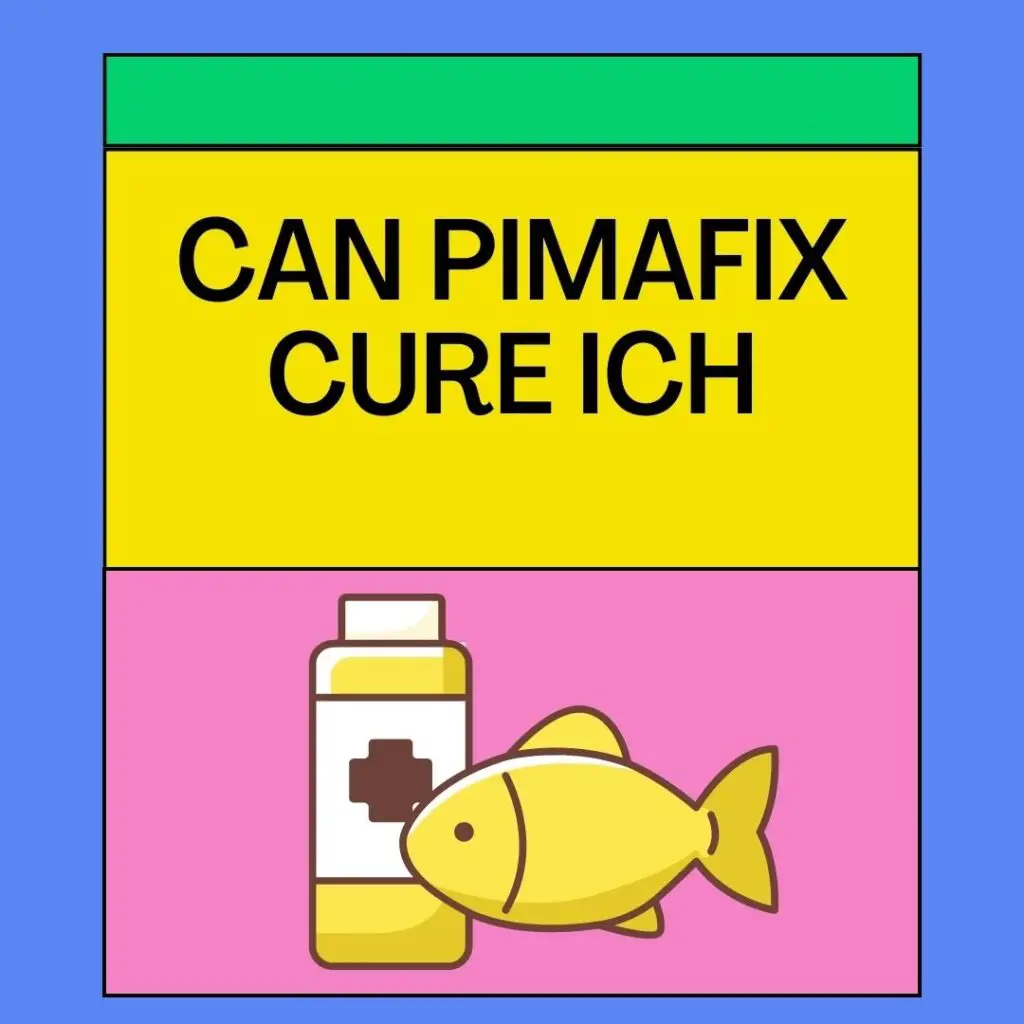 Can Pimafix Cure Ich
