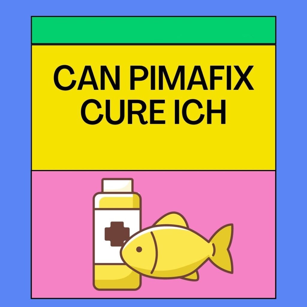 Can Pimafix Cure Ich