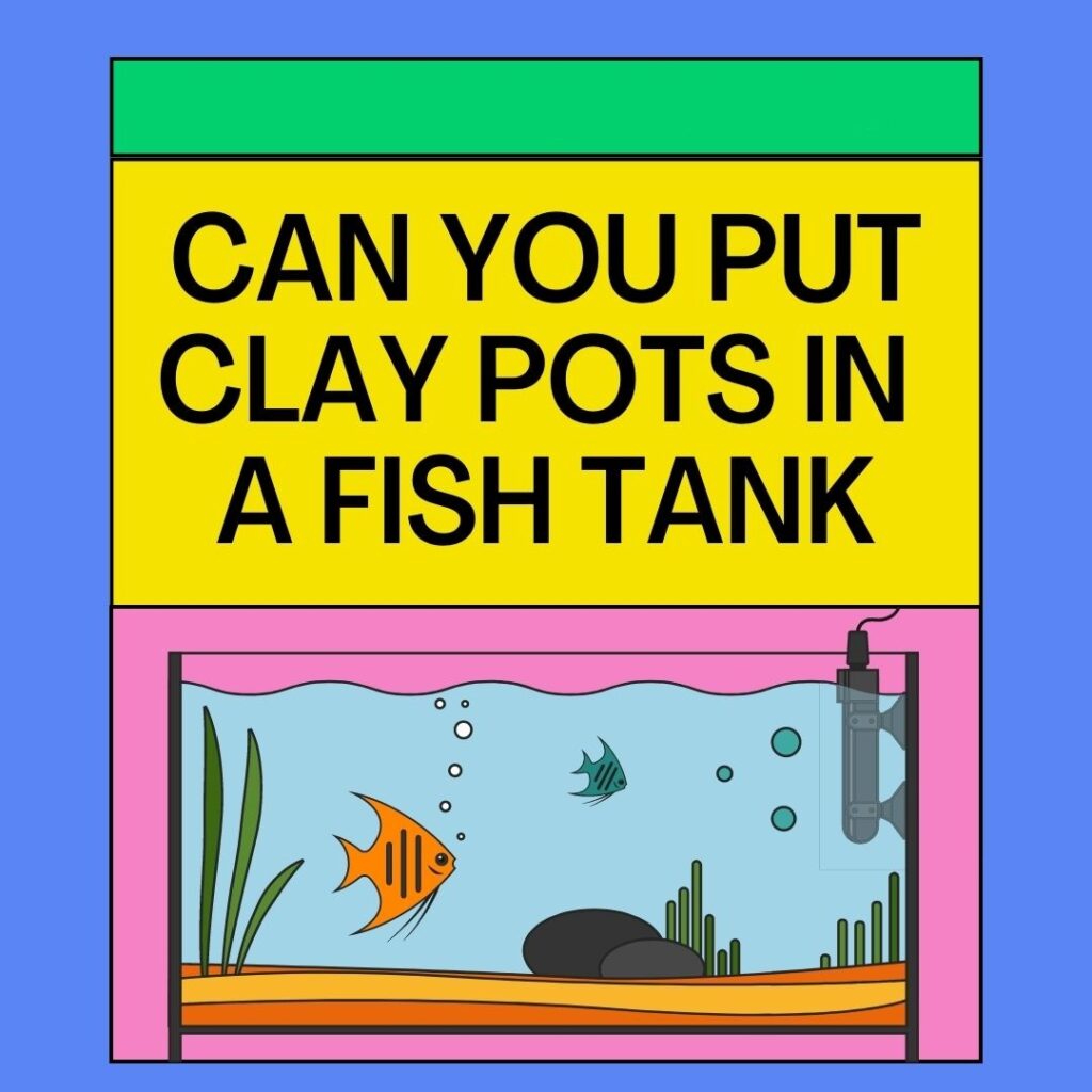 Can You Put Clay Pots In A Fish Tank