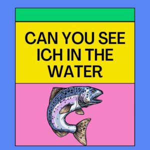 Can You See Ich In The Water