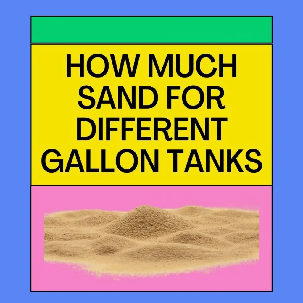 Sand For Different Gallon Tanks