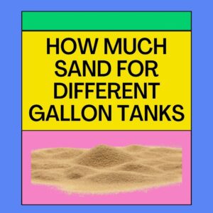 Sand For Different Gallon Tanks