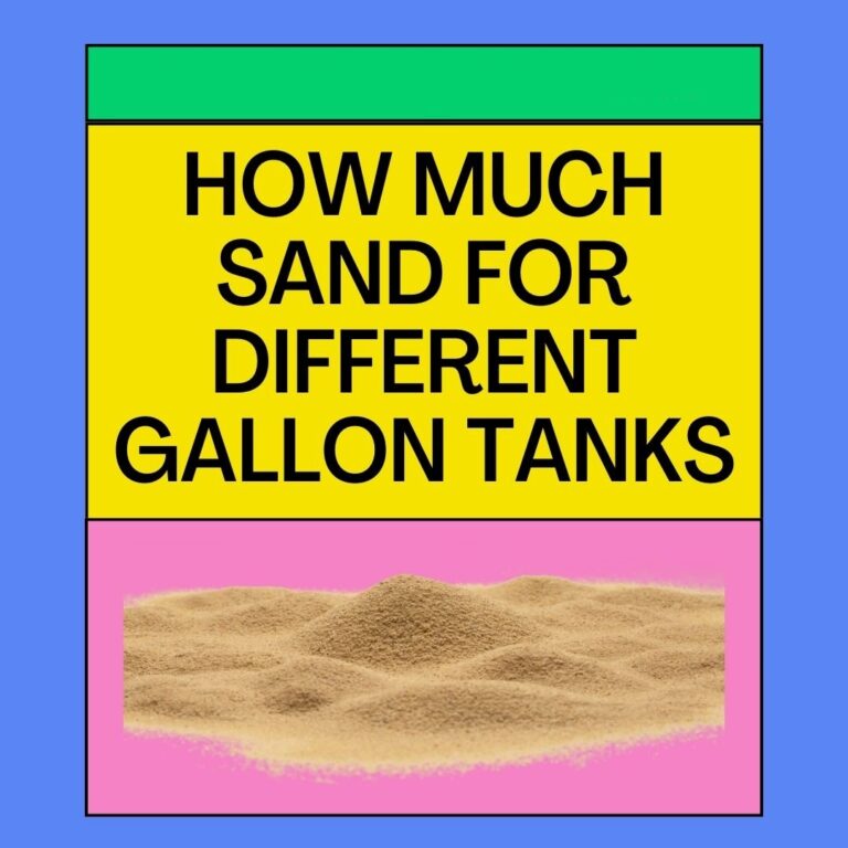 How Much Sand For Different Gallon Tanks Do You Need?