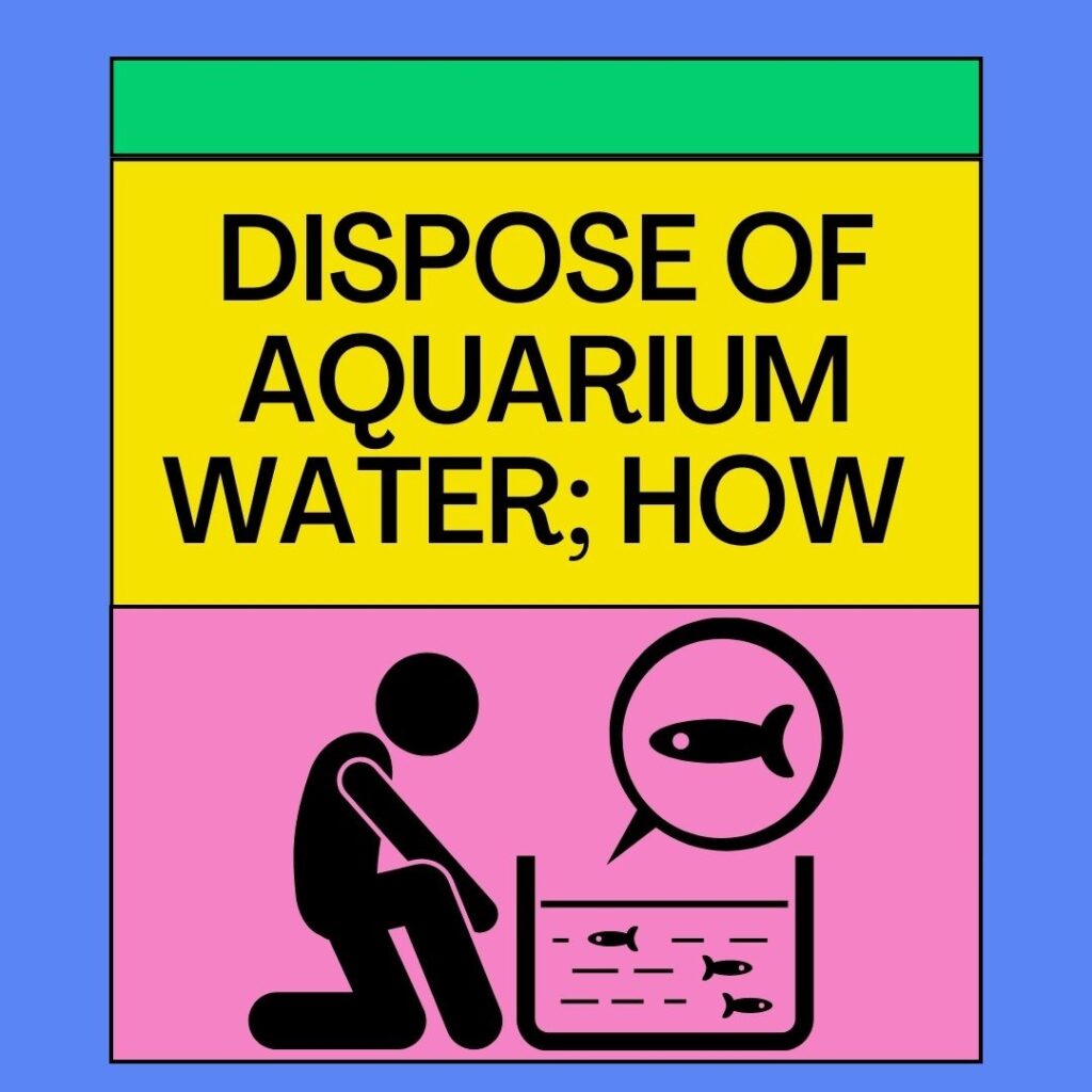 How To Dispose Of Aquarium Water