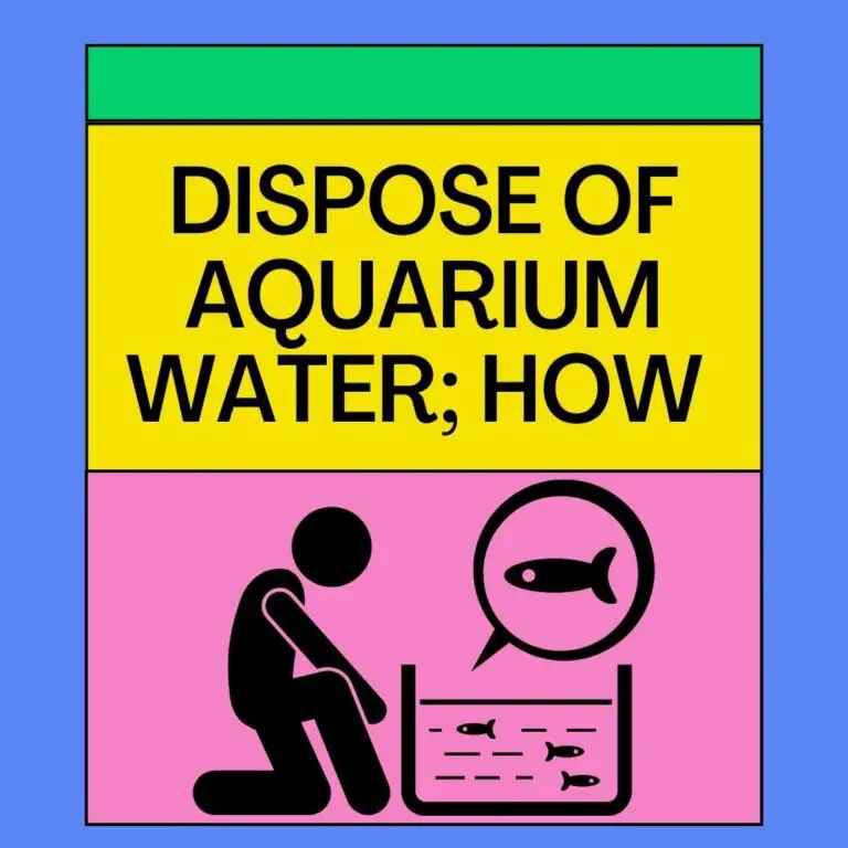 How To Dispose Of Aquarium Water? [101 Guide For Beginners] Aqualife