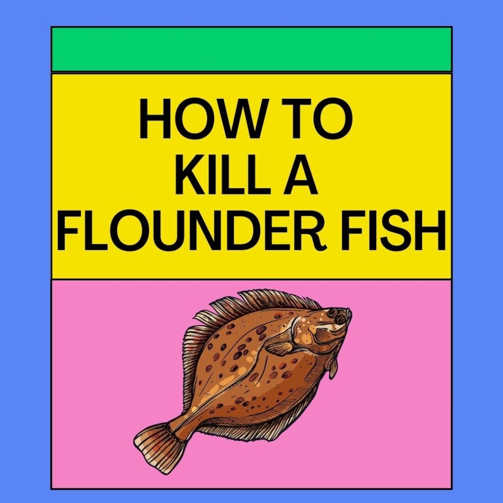 How to Kill a Flounder: 6 Easiest Ways to Make a Flounder Lifeless