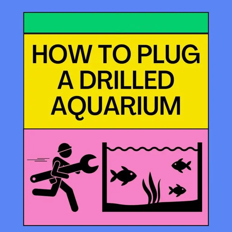 How To Plug A Drilled Aquarium: 2 Easy Methods!