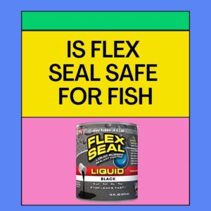 Is Flex Seal Safe for Fish? [With All Necessary Information]