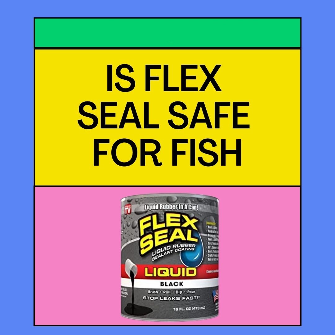 Is Flex Seal Safe for Fish? [With All Necessary Information] Aqualife