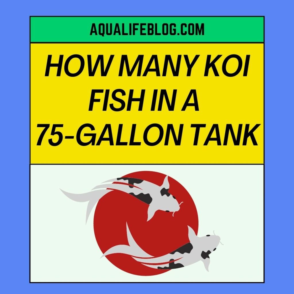 Koi Fish Should Be In A 75 Gallon Tank