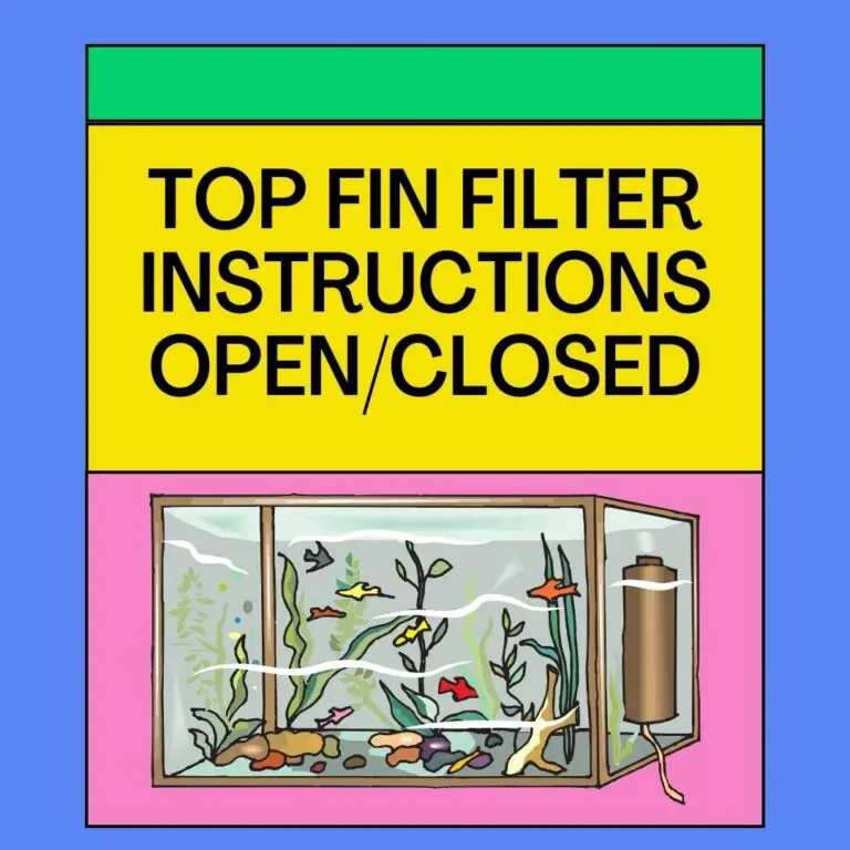Top Fin Filter Instructions: Open Or Closed?