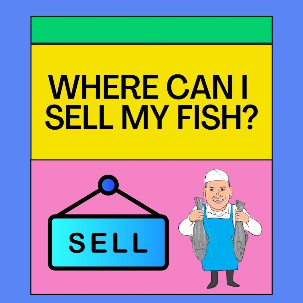 Where Can I Sell My Fish