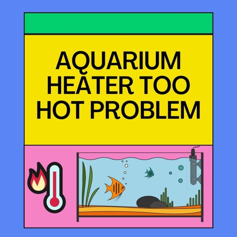 Aquarium Heater Too Hot? What You Can Do?