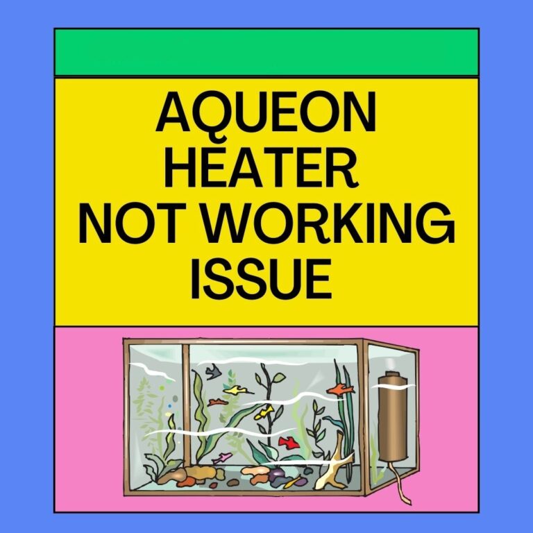 Aqueon Heater Not Working: Reasons & Solutions Here