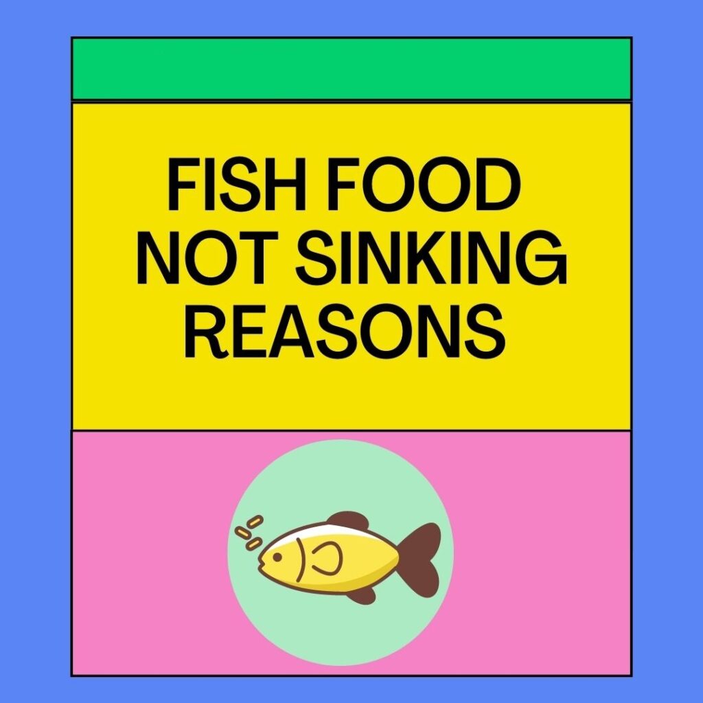 Fish Food Not Sinking