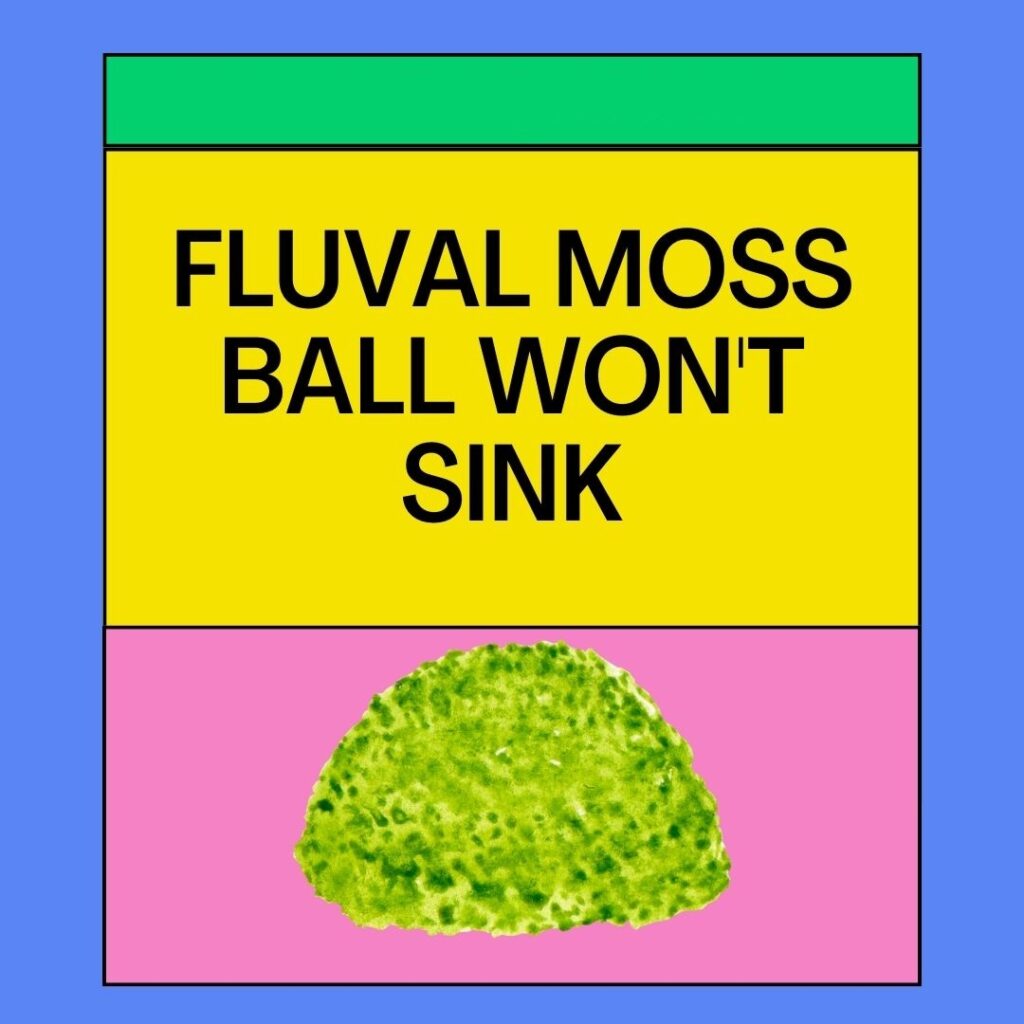 Fluval Moss Ball not Sinking